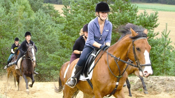 reiterferien-lueneburger-heide-juniorclub