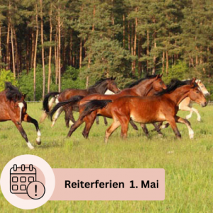 Reiterferien 1. Mai Reiturlaub Kurzurlaub