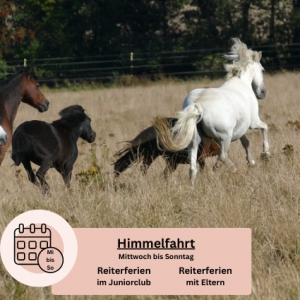 Himmelfahrt Kurzurlaub auf dem Reiterhof Reiterferien