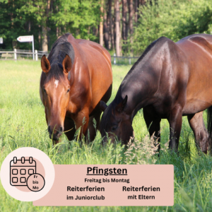 Reiterferien zu Pfingsten Kurzurlaub