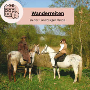 Wanderreiten in der Lüneburger Heide Heidewege