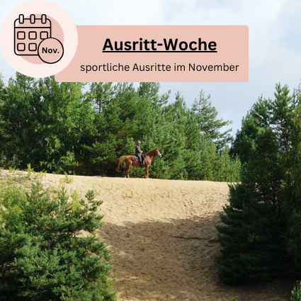 Reiturlaub auf Heidewegen in der Lüneburger Heide