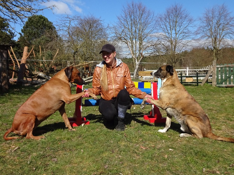 Hundesport Agility Obediance Training Mantrailing Canicross Ausflugsziele und Reiseziele für Vereine
