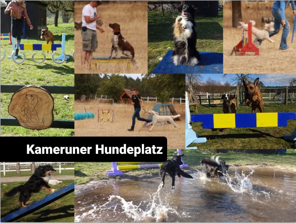 Hundesport-Anlage Wandern Joggen Fahrradfahren Canicross Agility Mantrailing in der Lüneburger Heide 